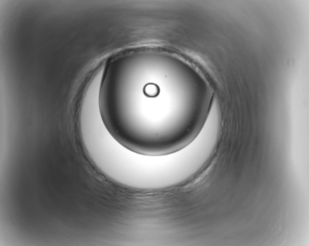 X0000088751406200706212106