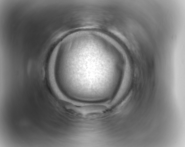 X0000088751407200706212106