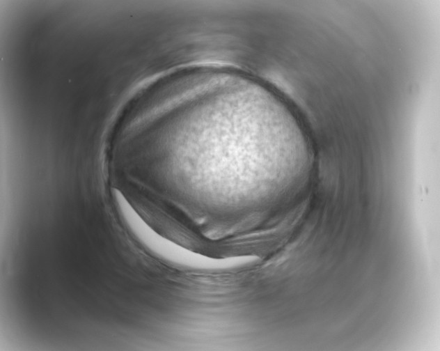 X0000088751408200706212106