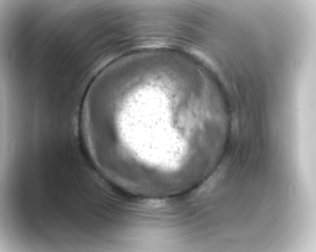 X0000088751409200706212106