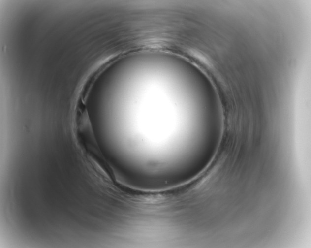 X0000088751410200706212106