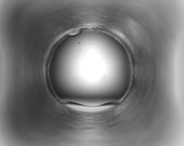 X0000088751412200706212106