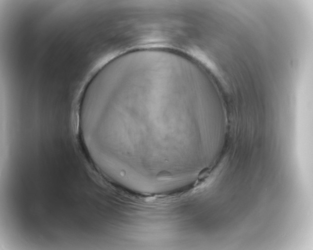 X0000088751413200706212106