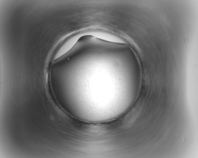 X0000088751416200706212106