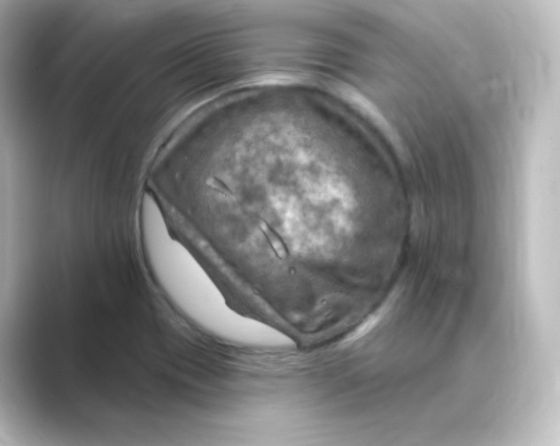 X0000088751417200706212106