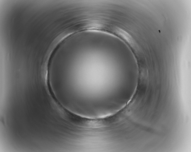 X0000088751418200706212106