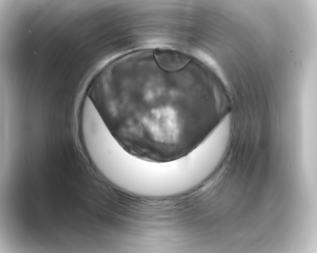 X0000088751419200706212106