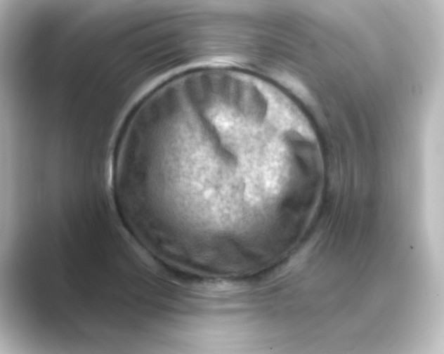 X0000088751420200706212106