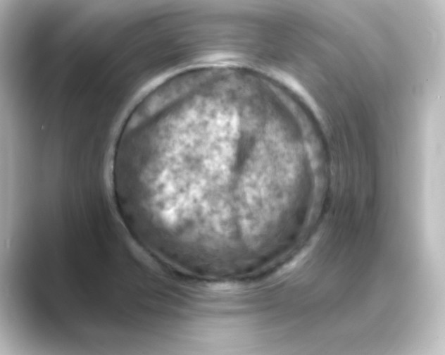 X0000088751421200706212106