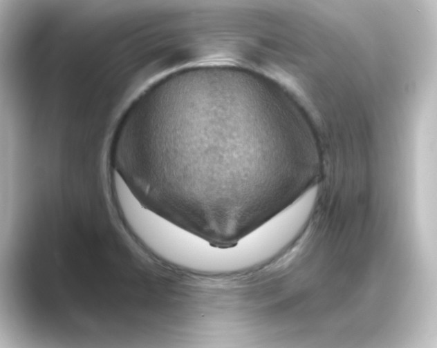 X0000088751422200706212106