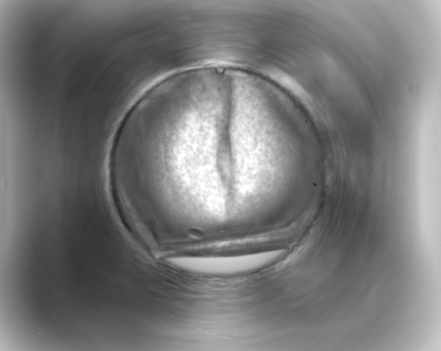 X0000088751423200706212106