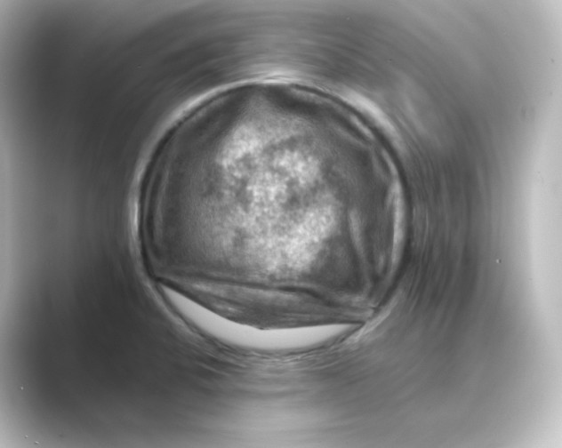 X0000088751424200706212106