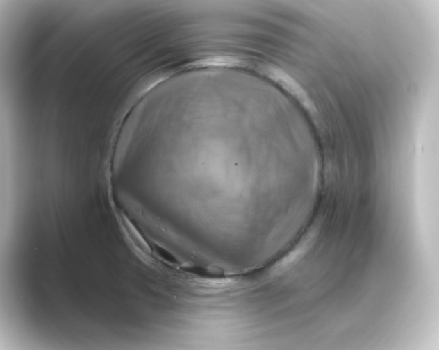 X0000088751425200706212107