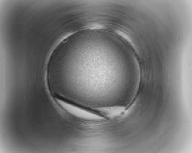 X0000088751426200706212107