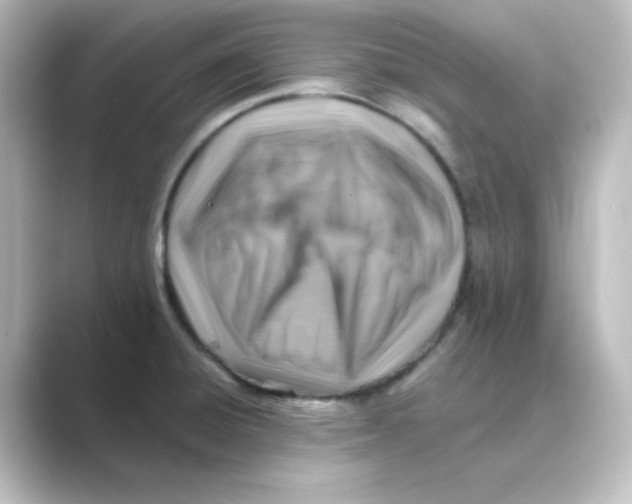 X0000088751428200706212107