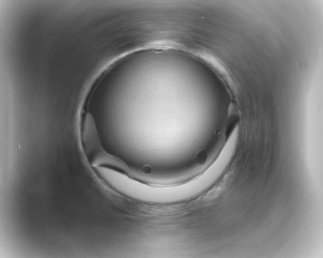 X0000088751430200706212107