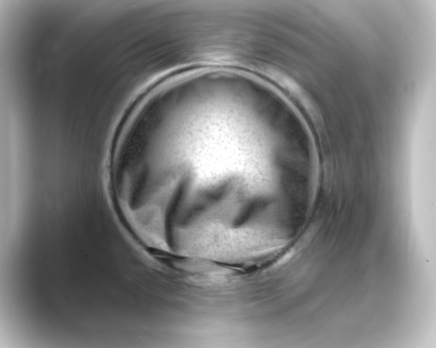 X0000088751432200706212107