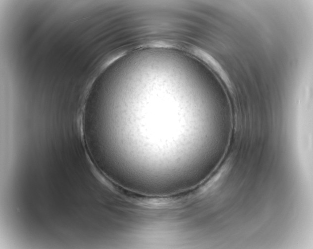 X0000088751433200706212107