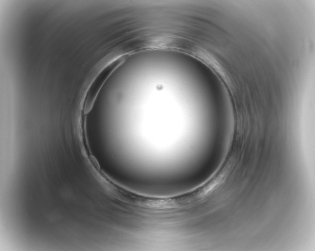 X0000088751434200706212107