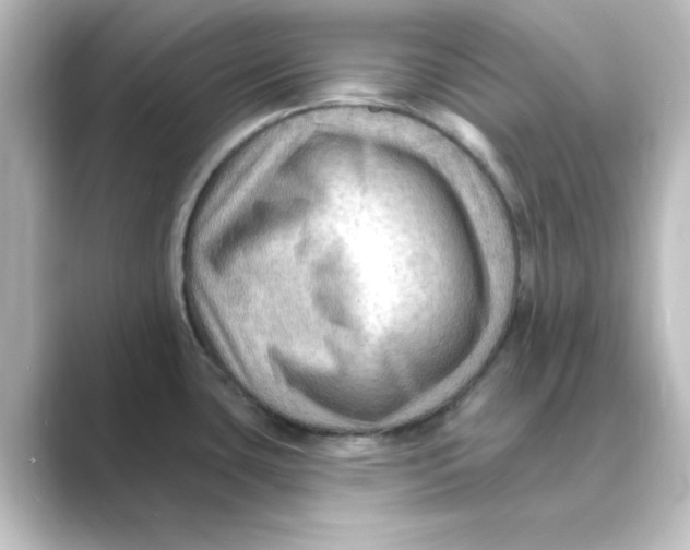 X0000088751435200706212107