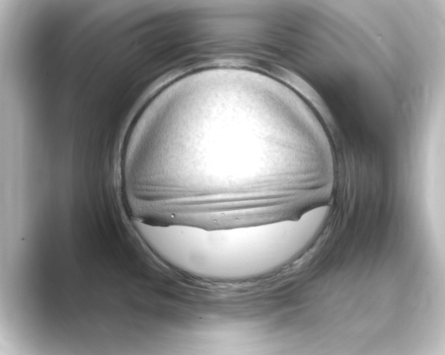 X0000088751436200706212107