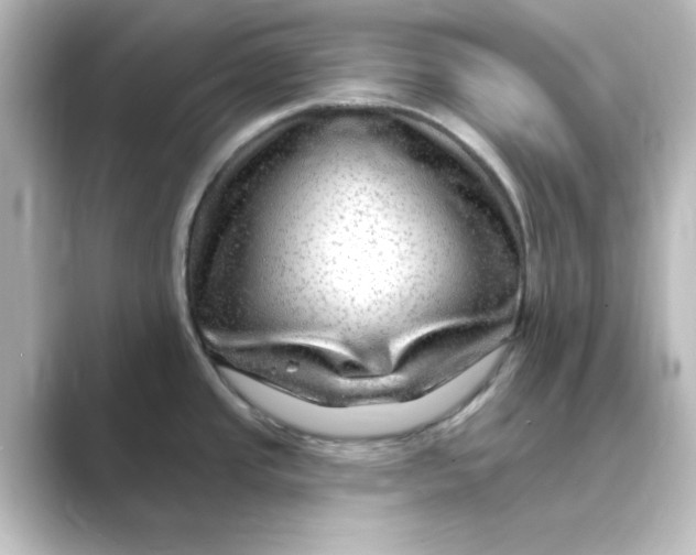 X0000088751437200706212107