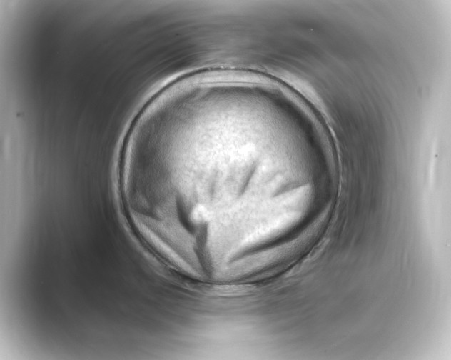 X0000088751440200706212107