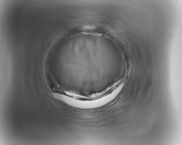 X0000088751441200706212106