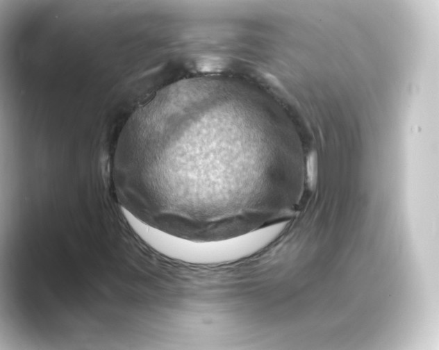 X0000088751443200706212106