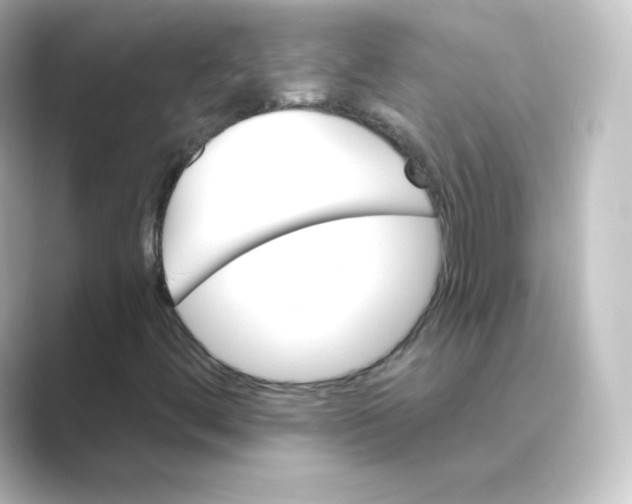 X0000088751444200706212106