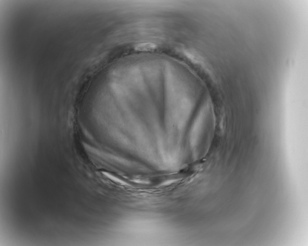 X0000088751445200706212106