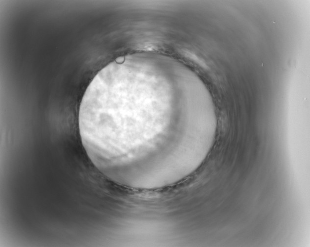 X0000088751446200706212106