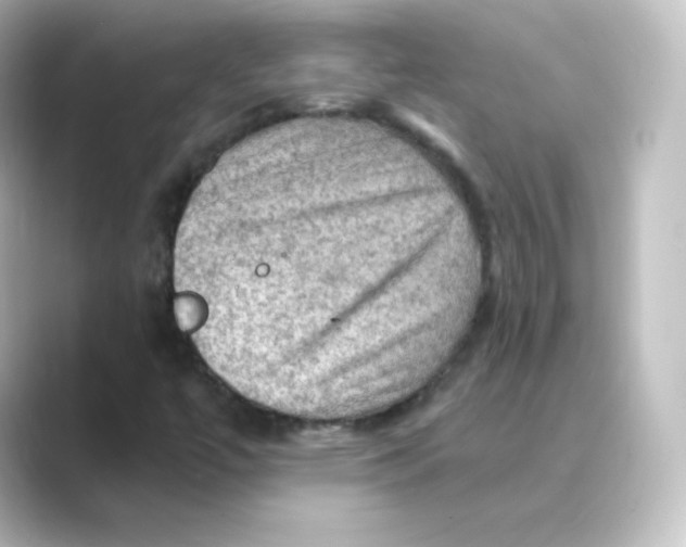 X0000088751447200706212106