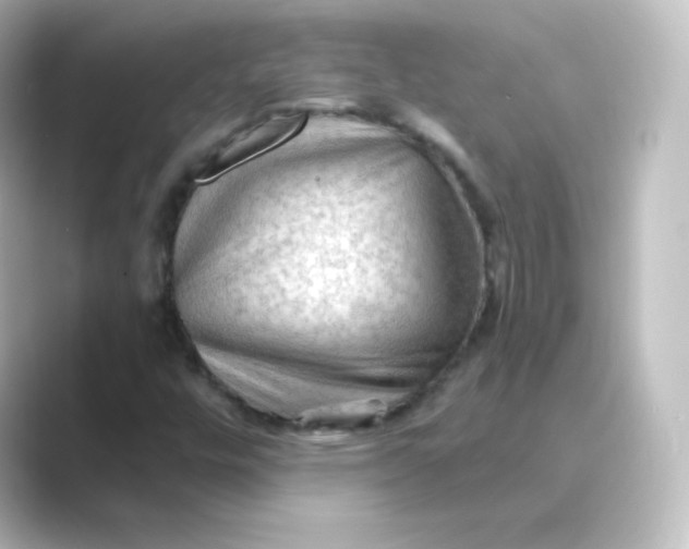 X0000088751448200706212106