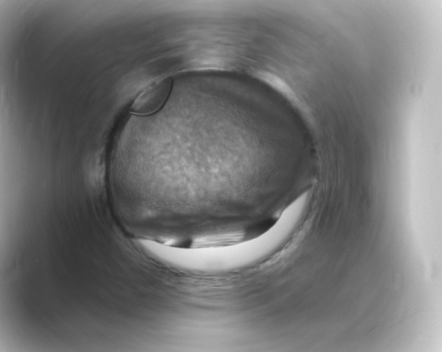 X0000088751450200706212106