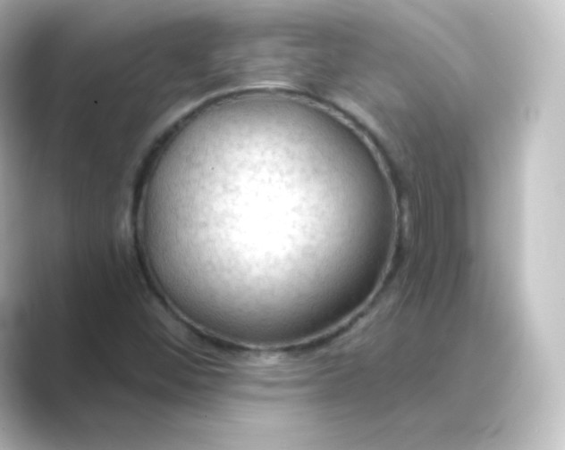 X0000088751452200706212106