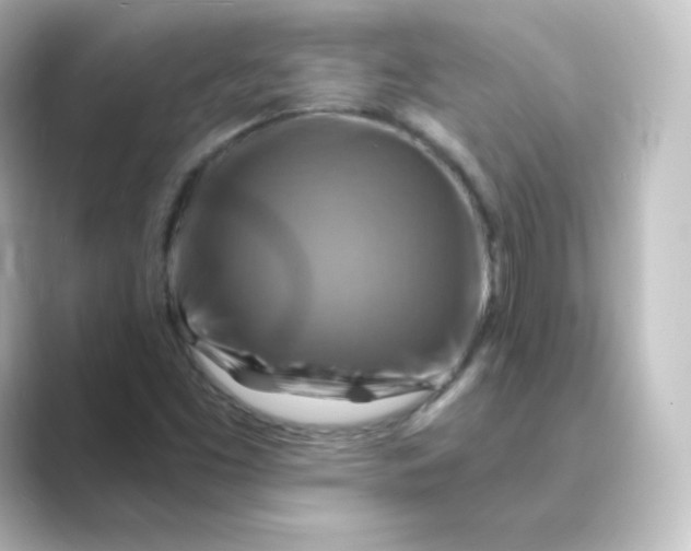 X0000088751453200706212106