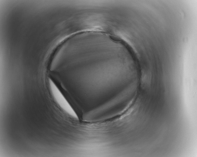 X0000088751455200706212106