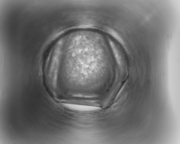 X0000088751456200706212106