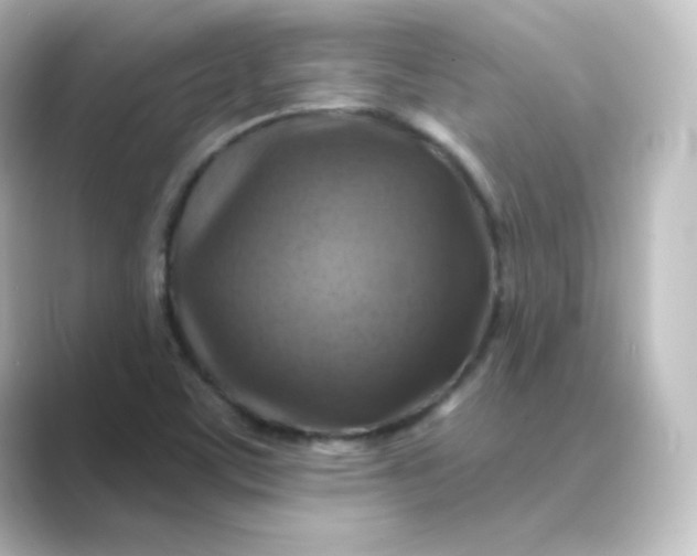 X0000088751459200706212106