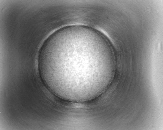 X0000088751460200706212106