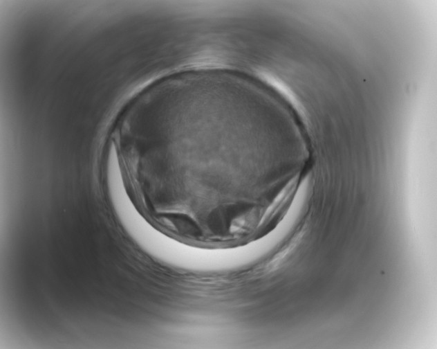 X0000088751461200706212106