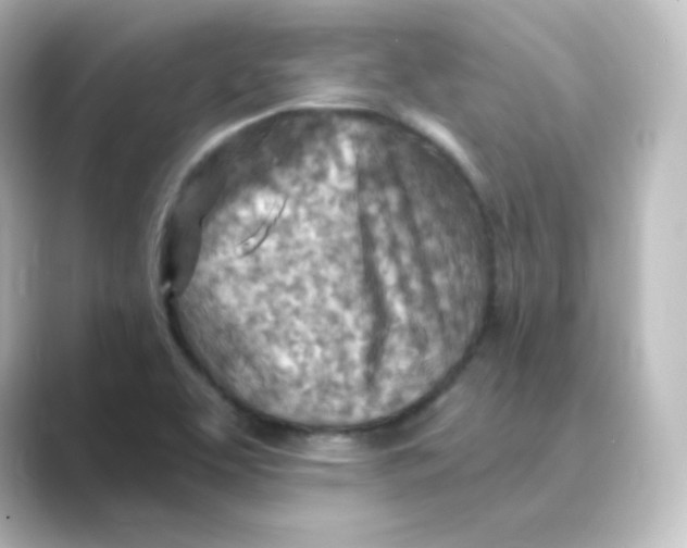 X0000088751463200706212106