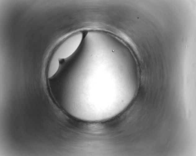 X0000088751464200706212106