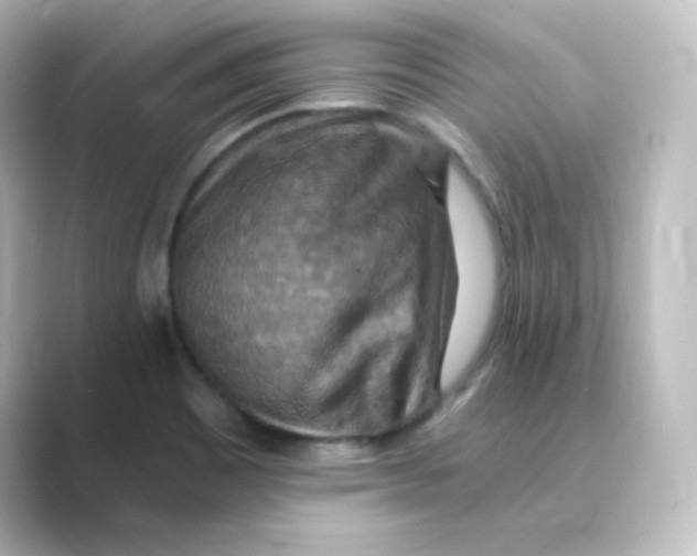 X0000088751465200706212106