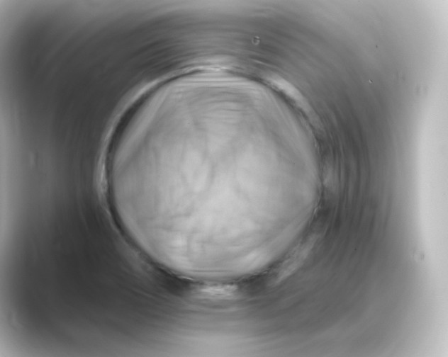 X0000088751466200706212106