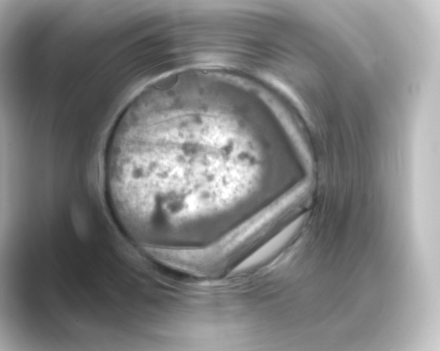 X0000088751467200706212106