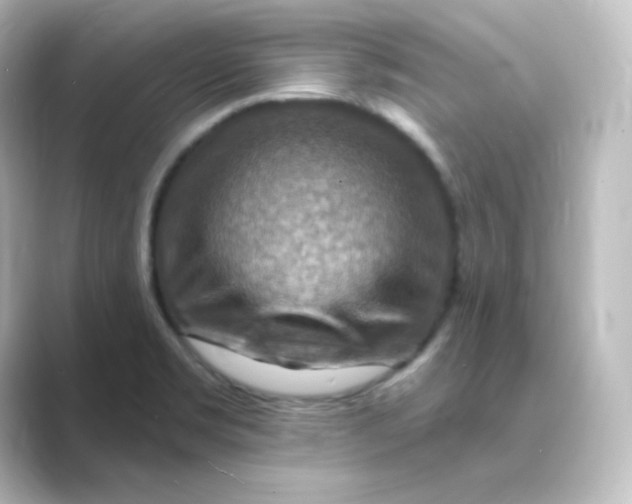 X0000088751469200706212106