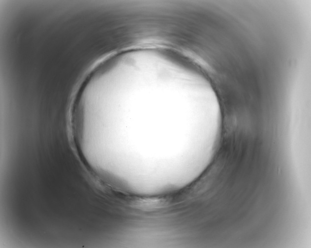 X0000088751470200706212106