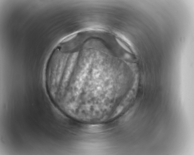 X0000088751471200706212106